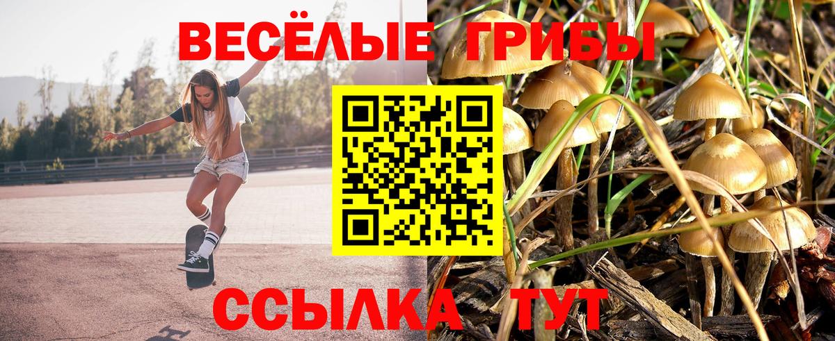 Кемерово  Псилоцибиновые грибы Magic Shrooms  Галлюциногенные грибы Psilocybine cubensis  Вход с VPN 